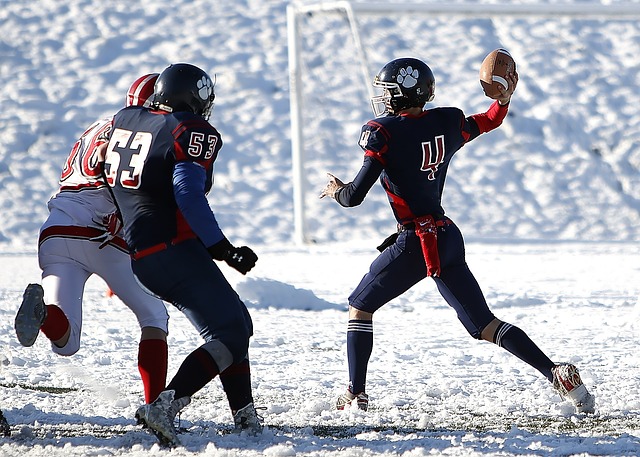 能够为球迷 能够为球迷