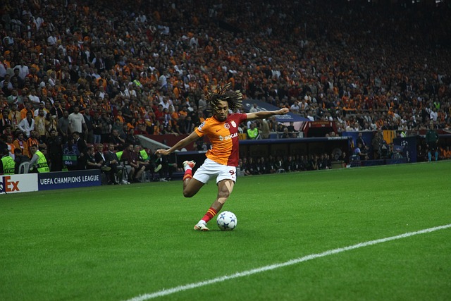 完成了这次 完成了这次