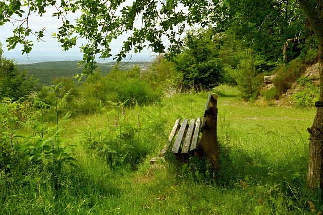 形式呈现 形式呈现