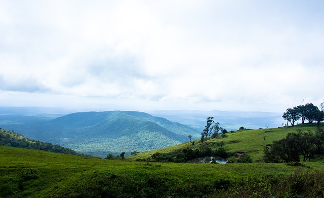 的真实表现 的真实表现